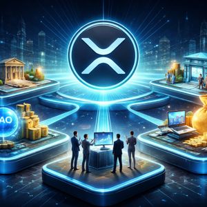 XRP生态系统资金模式变化