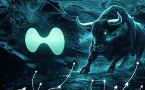 Hyperliquid (HYPE) 拟推HIP-6升级，瞄准原生代币发行新框架