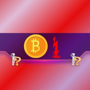 内幕交易分析图表