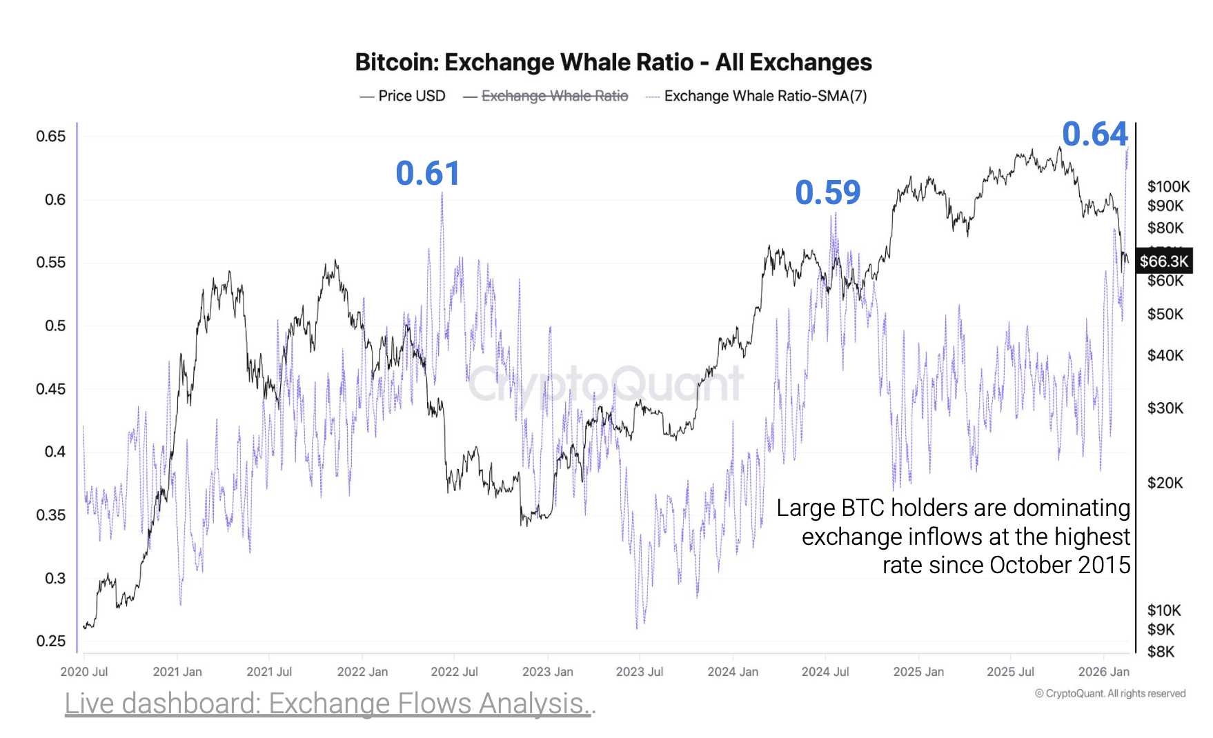 Bitcoin whales chart