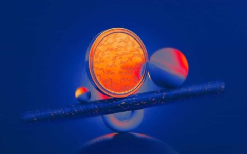 Bitwise寻求SEC批准2028年选举预测市场ETF，华尔街推动将投注包装化