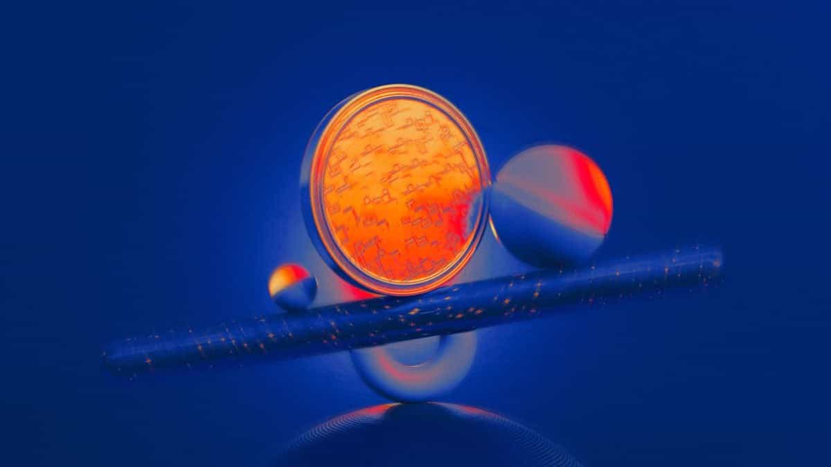 Bitwise seeks SEC nod for 2028 election prediction market ETFs as Wall Street pushes to wrap bets