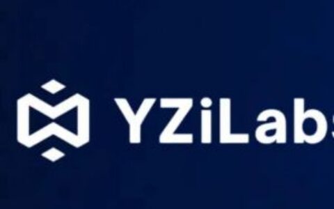 YZi Labs揭露10X Capital在BNB国债公司CEA Industries隐藏10%股权