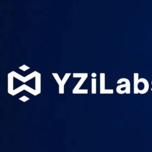 YZi Labs与CEA Industries争议
