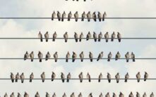 美国当局逮捕Goliath Ventures高管，涉嫌3.28亿美元加密货币庞氏骗局