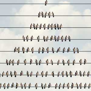 DOJ逮捕3.28亿美元庞氏骗局主谋