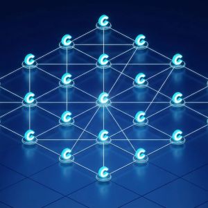 币安比特币稳定币比率图表