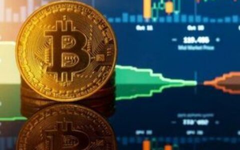 钻石手获胜：85%比特币持有者在二月暴跌中坚守阵地