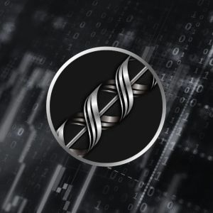 Railgun锁定价值增长