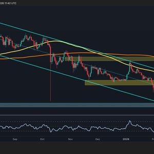 XRP价格分析图表