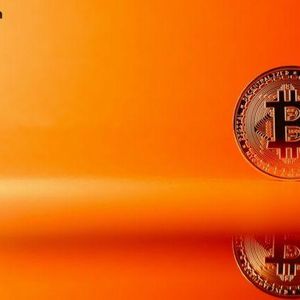 Citrea基金会成立，推动比特币可编程基础设施与去中心化发展