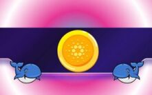 一周抛售2.3亿ADA：卡尔达诺面临新一轮下跌？