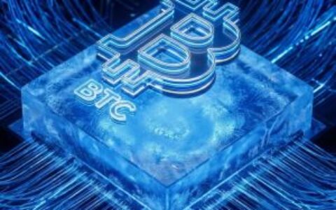 Bitwise年度比特币ETF捐赠引关注：开发者资助计划升温