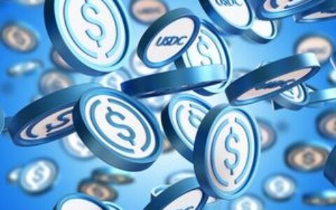 Circle：AI时代具有防御性的金融科技公司，稳定币业务爆炸式增长（评级上调）