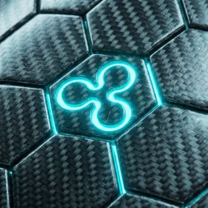 XRPL Settlement Platform