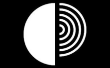 COIN股票飙升超14%，Brian Armstrong和Donald Trump发表看涨言论